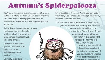 Fall Lawn And Garden Info 2