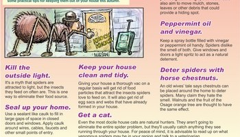 Fall Lawn And Garden Info 2