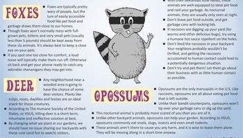 Fall Lawn And Garden Info 1