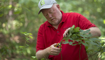 Pruning 101