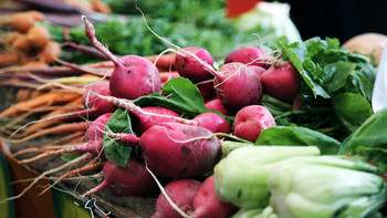 Grow Your Own Food 1 Square Foot At A Time