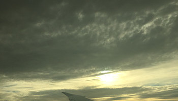 Flourishing During Flight