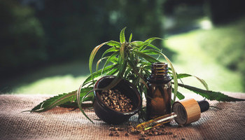 Cbd For Seniors