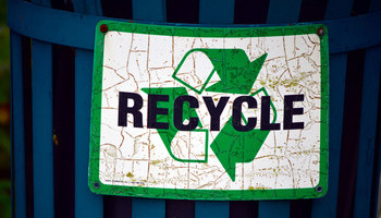 Sustainable On A Budget