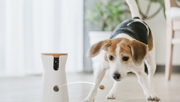 Presents For Pet People