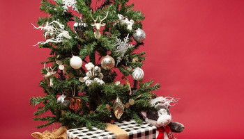 Pet Gifts
