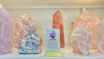 For The Wellness Guru