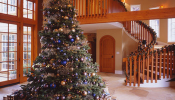 Tree Trends