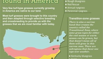 Spring Lawn And Garden Info 3