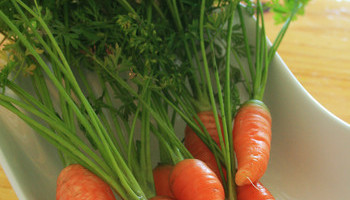 Grow Your Own Restaurant