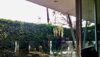 Zen Gardening 101