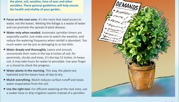 Spring Lawn And Garden Info 2