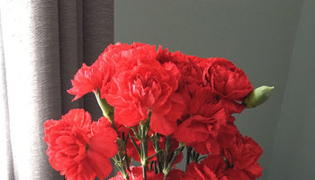 Beautiful Bouquets