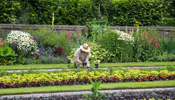 Secrets Of A Cheapskate Gardener