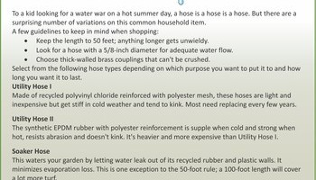 Spring Lawn And Garden Info 3