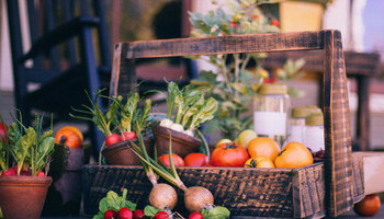 Edible Gardens