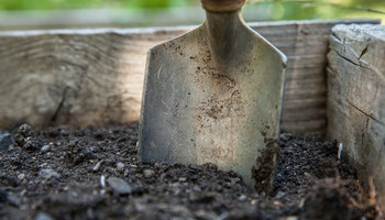 Dig Into Gardening