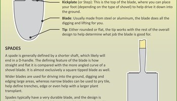 Spring Lawn And Garden Info 3