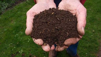 Composting 101