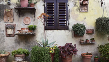Vertical Gardens