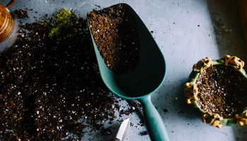 Fertilize It