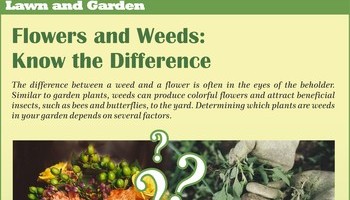 Spring Lawn And Garden 1