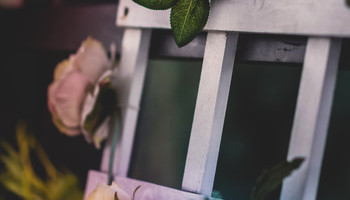 Ladder Of Sweet-smelling Success