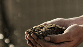 Compost