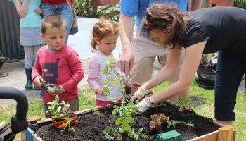 Children And Other Growing Things