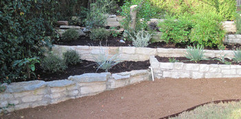 Xeriscaping: A Low-maintenance Oasis