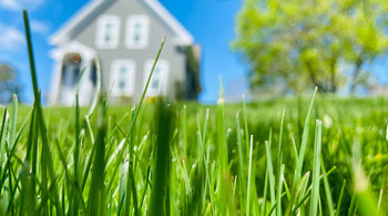 Growing Great Grass Begins With The Right Seed 