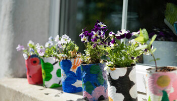 Upcycled Garden Delights