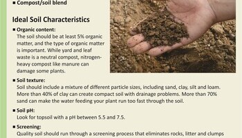 Spring Lawn And Garden Info 1
