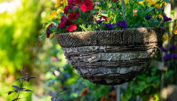 Container Creations