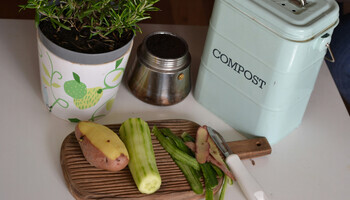 Compost Magic