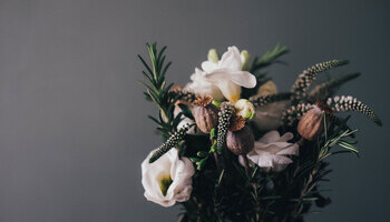 Painless Plant Projects