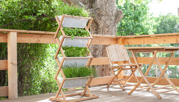 Compact Garden Accents