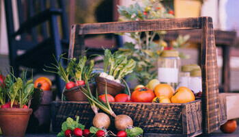 Edible Gardens