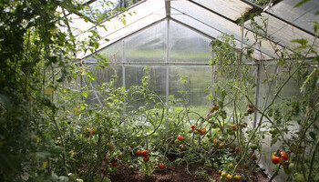 On The Grow