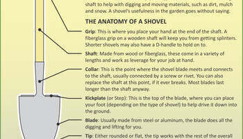 Spring Lawn And Garden Info 3