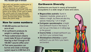 Spring Lawn And Garden Info 1