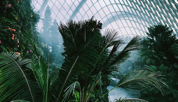 High Humidity Woes