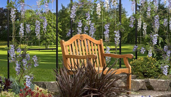 Backyard Oasis