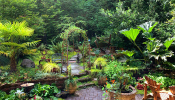 Revamp Your Outdoor Space
