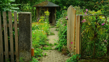 Imagine Your Garden