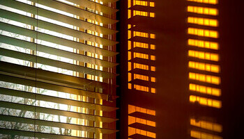 Smart Summer Shades