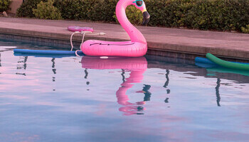 Splash Into Summer 