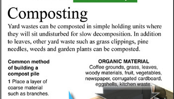Diy Compost Saves Money