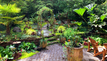 Revamp Your Outdoor Space