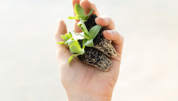 Gardener Gift Ideas